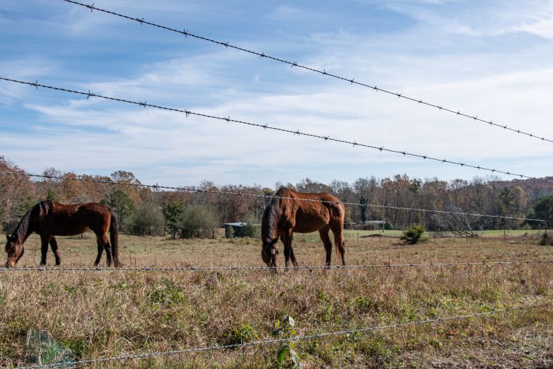 Horse Fence Installation