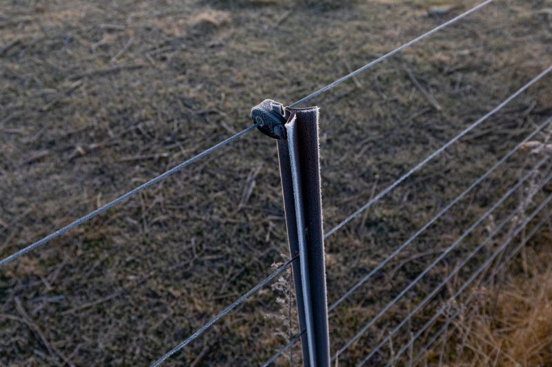 Electric Fence Post Installation