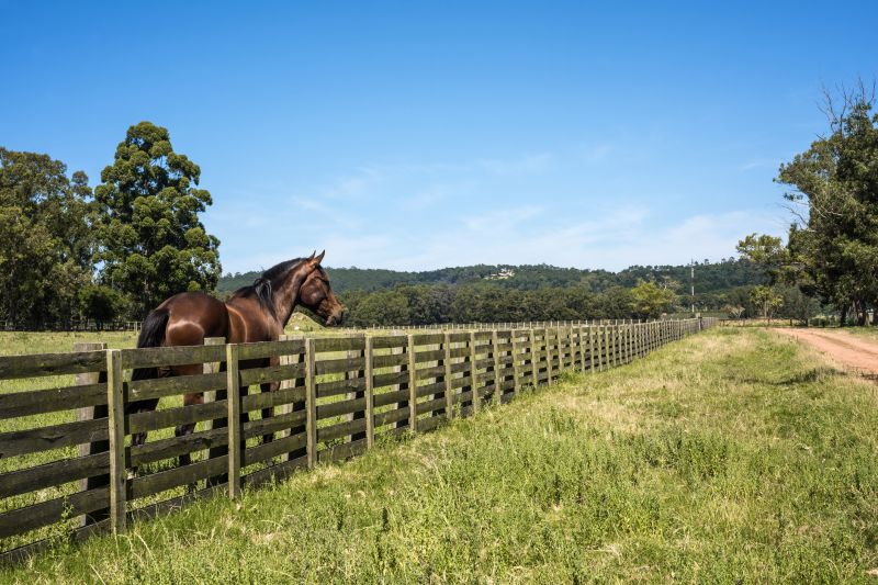 Wooden Horse Fence