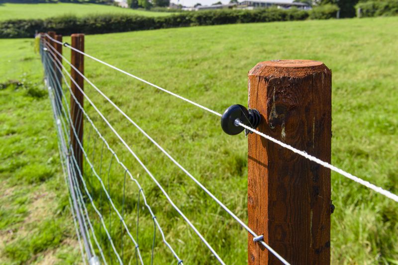 Wire Horse Fence