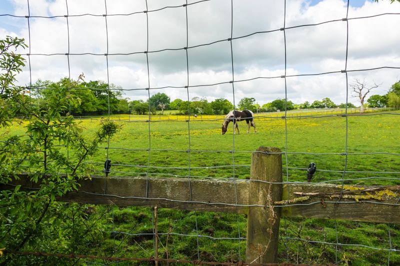 Horse Fence Installation in Spring