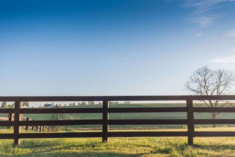 Products For Horse Fence Installations in use