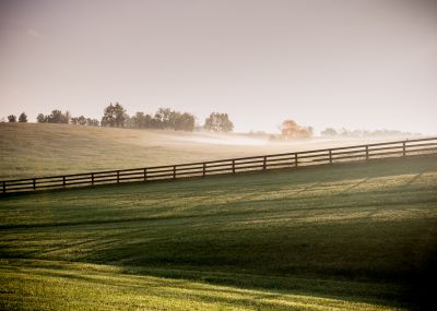 Stunning Ranch Appeal